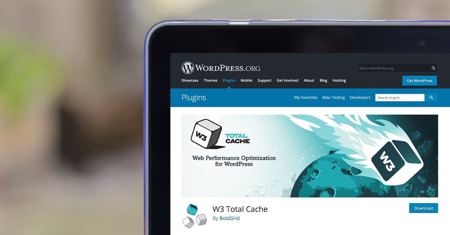 SEO WordPress Setup